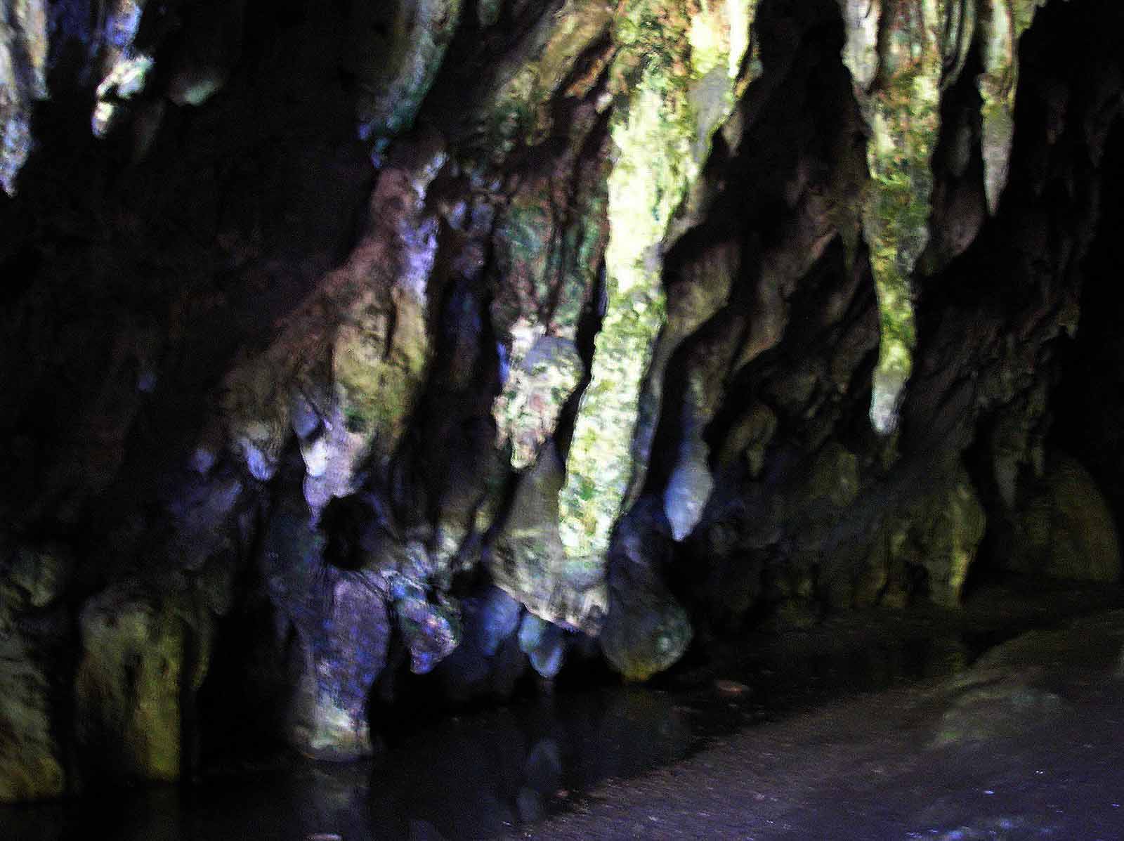 Cueva Guacharo Ene 07