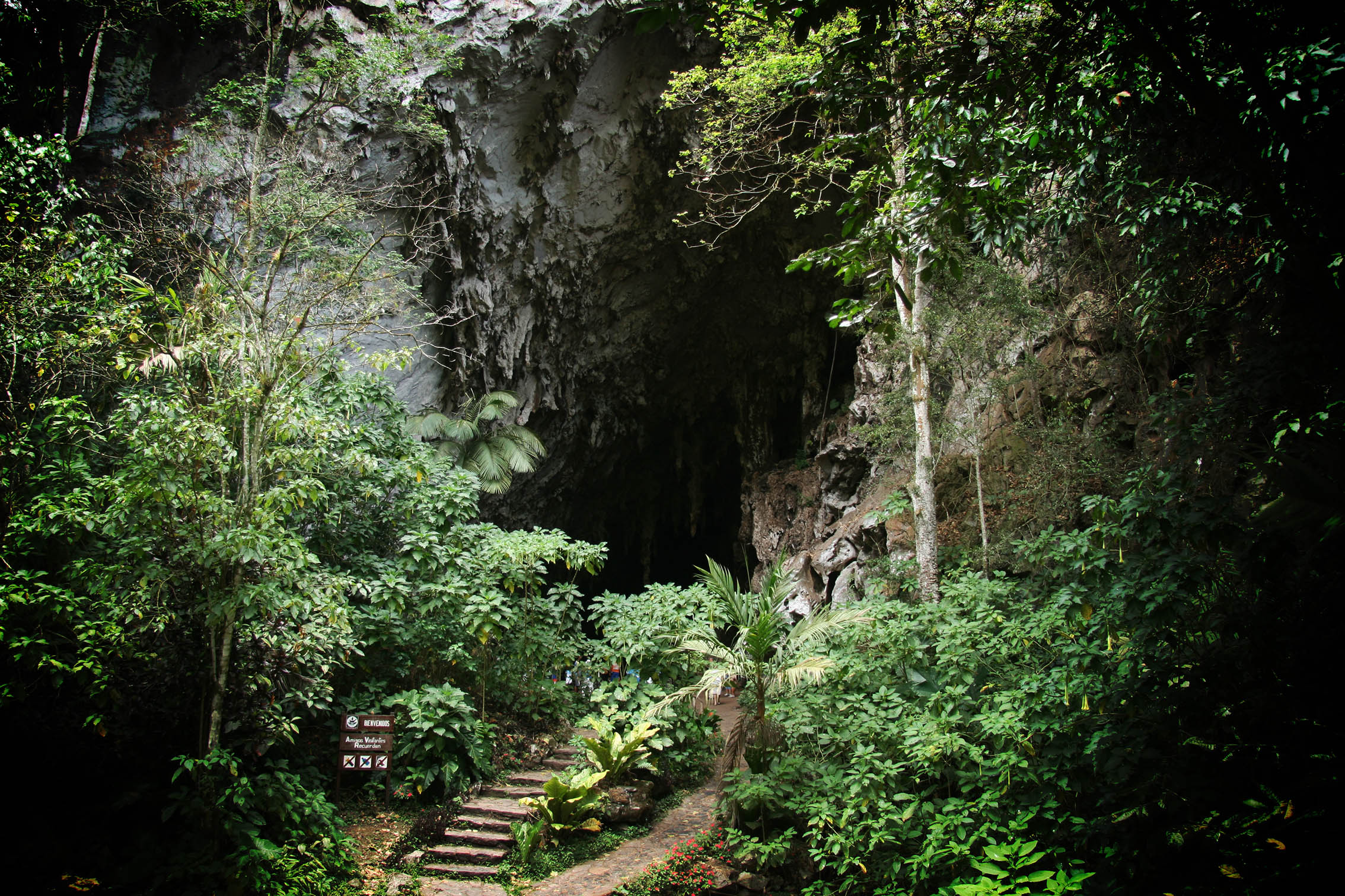 Encantados, Enanitas y Oro en la Cueva del Guácharo